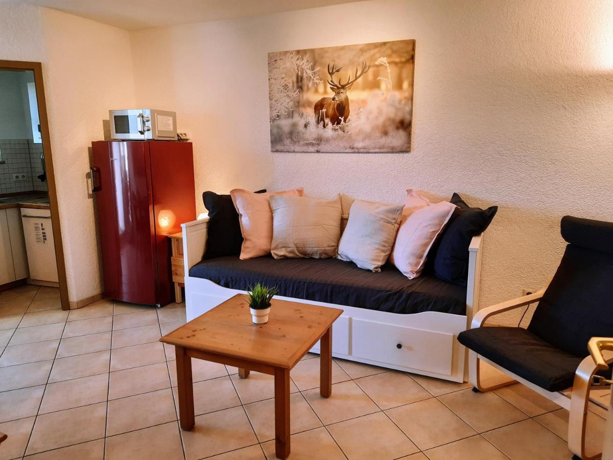 Residenz Schauinsland, Ganzes Appartement, Sauna Todtnau Luaran gambar