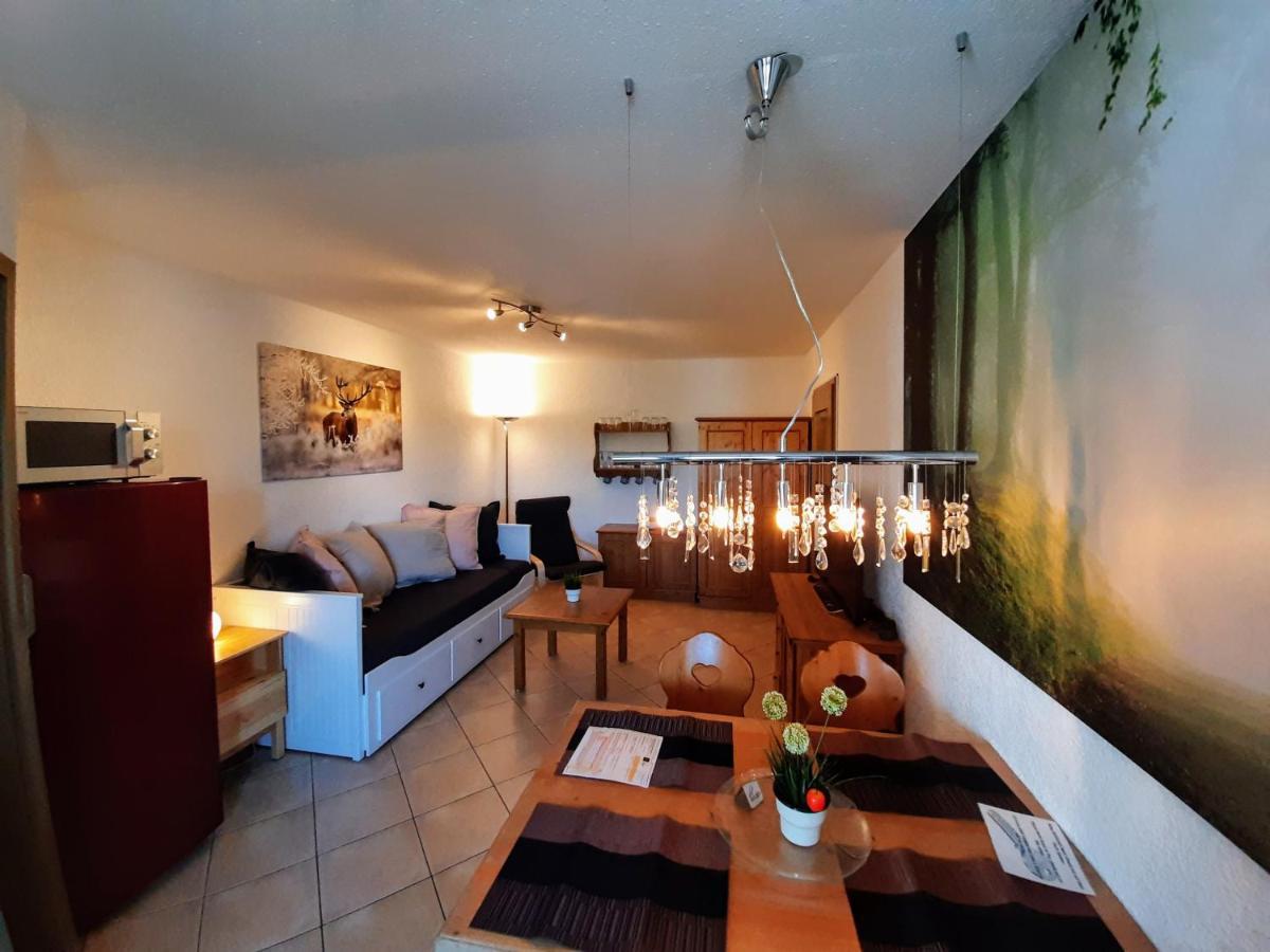 Residenz Schauinsland, Ganzes Appartement, Sauna Todtnau Luaran gambar