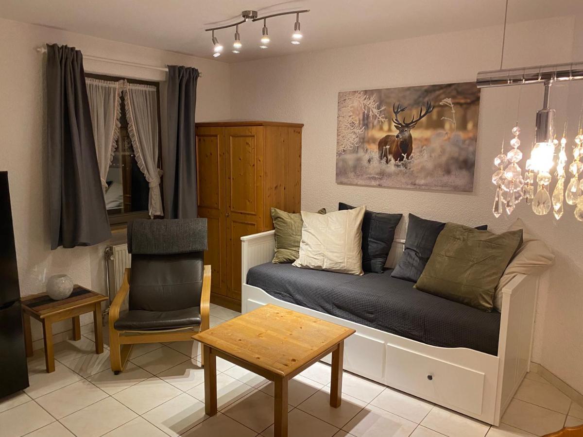 Residenz Schauinsland, Ganzes Appartement, Sauna Todtnau Luaran gambar