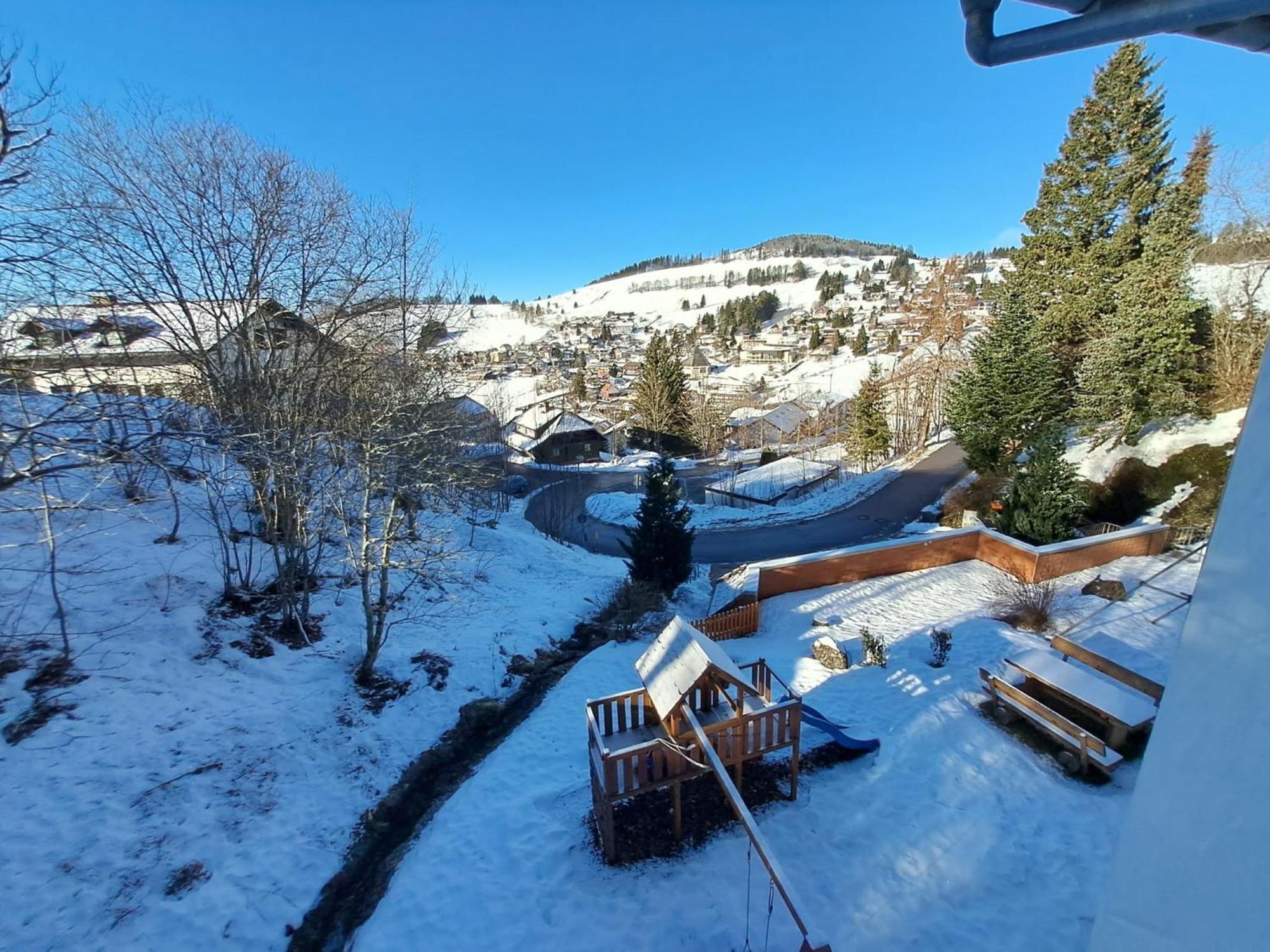 Residenz Schauinsland, Ganzes Appartement, Sauna Todtnau Luaran gambar
