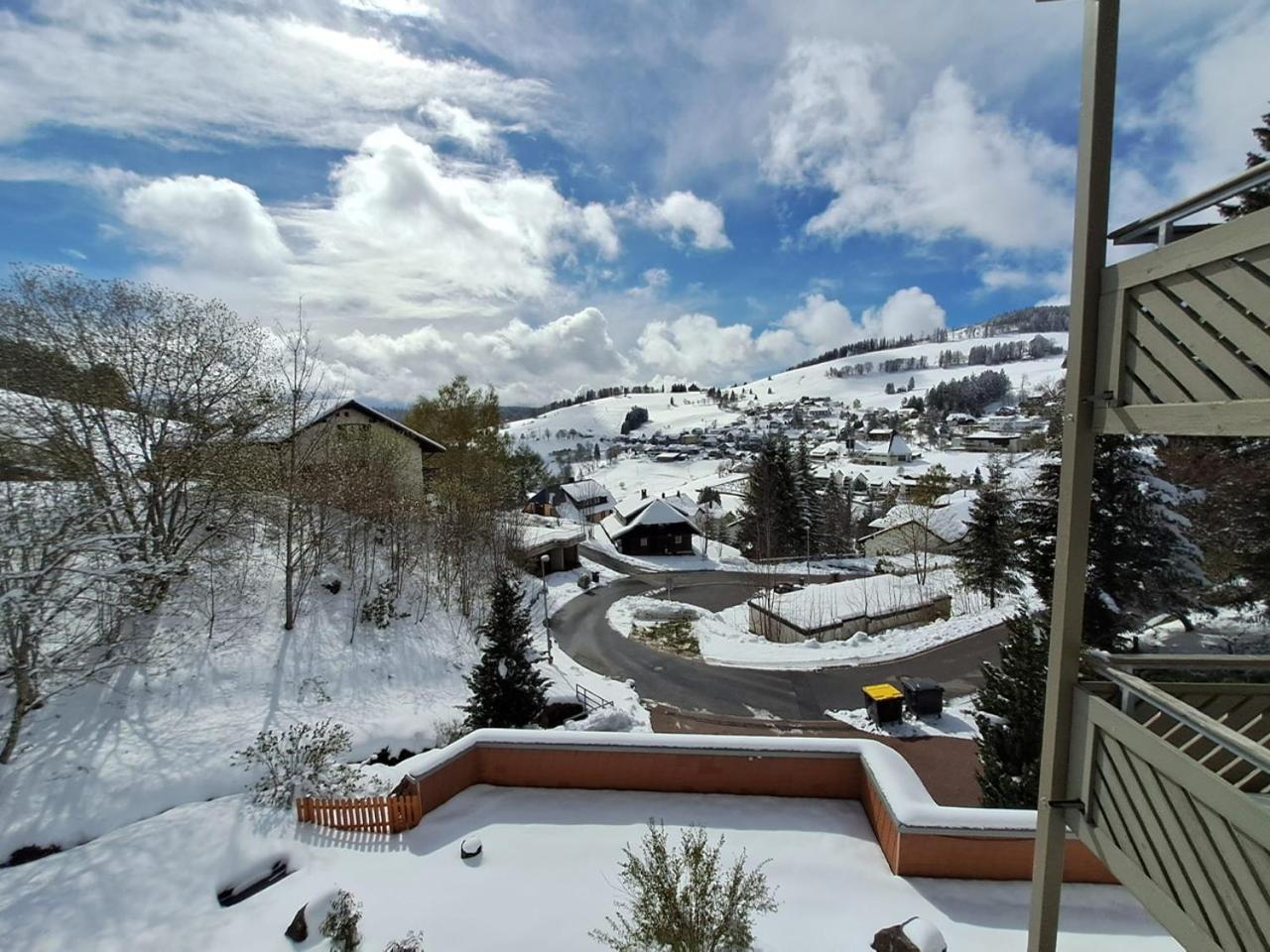 Residenz Schauinsland, Ganzes Appartement, Sauna Todtnau Luaran gambar