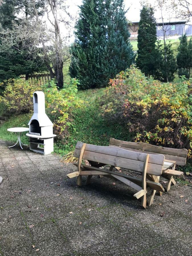 Residenz Schauinsland, Ganzes Appartement, Sauna Todtnau Luaran gambar