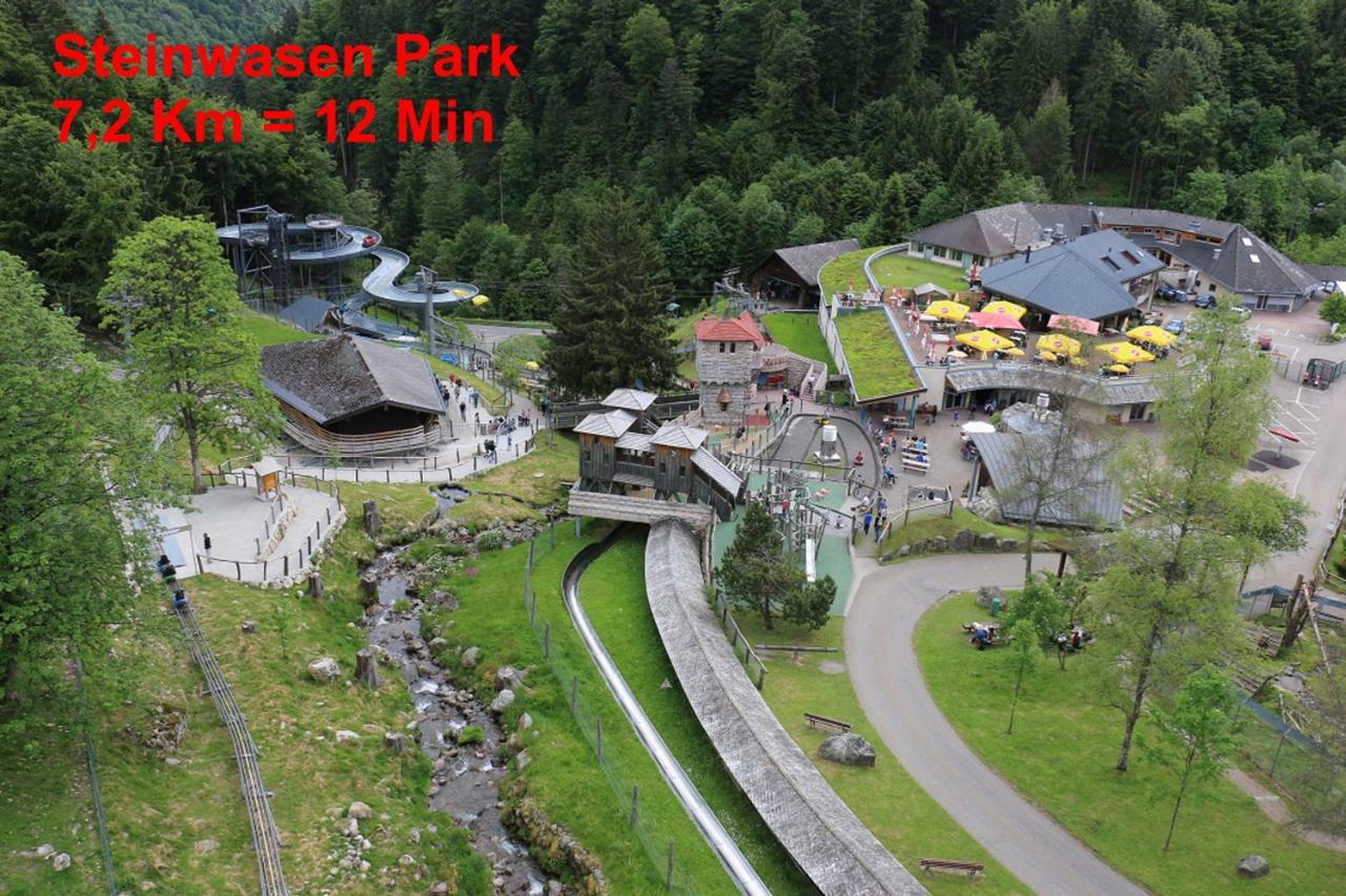 Residenz Schauinsland, Ganzes Appartement, Sauna Todtnau Luaran gambar