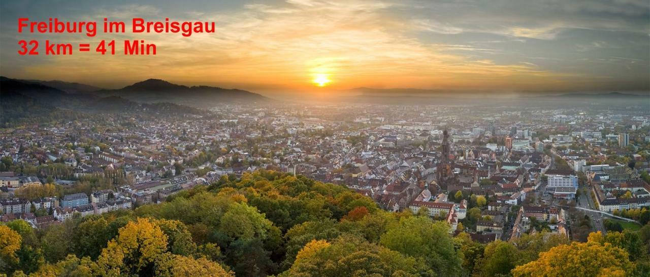 Residenz Schauinsland, Ganzes Appartement, Sauna Todtnau Luaran gambar