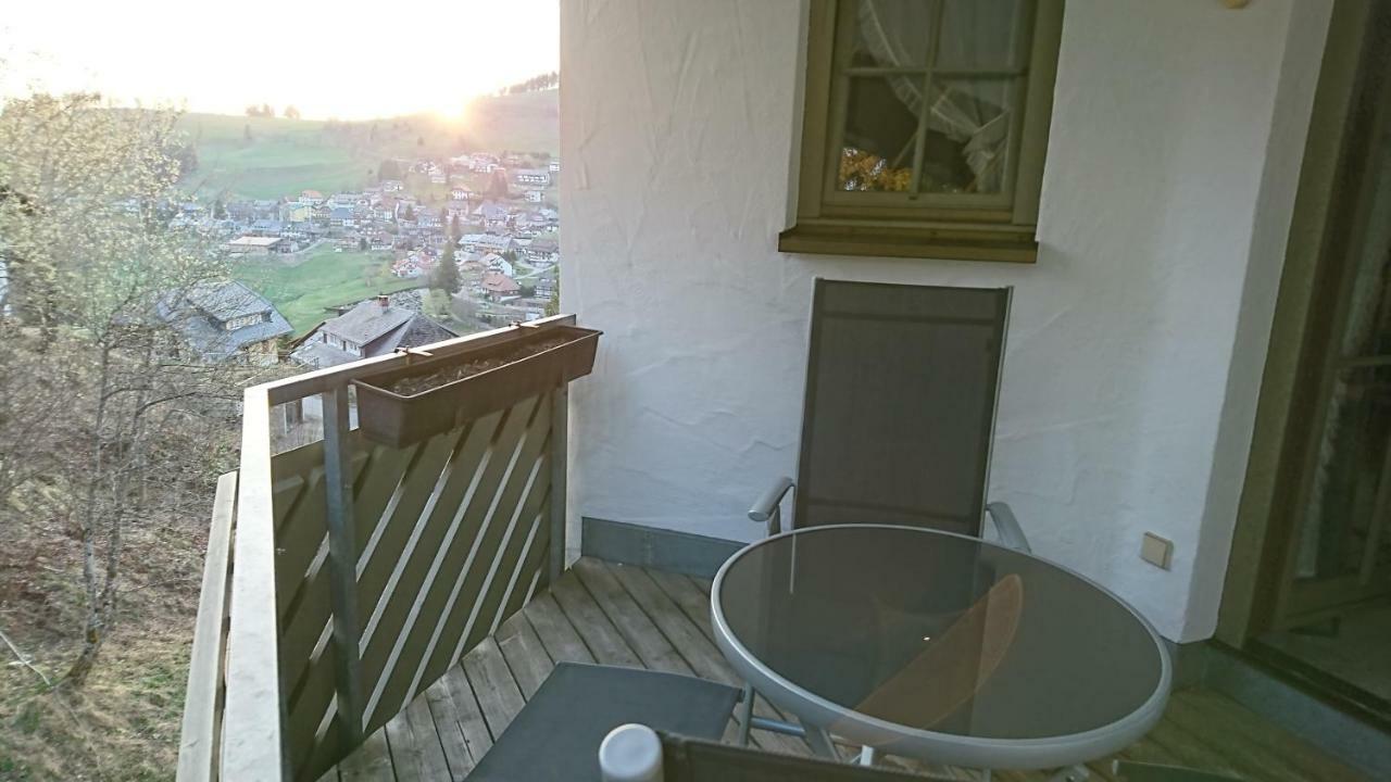 Residenz Schauinsland, Ganzes Appartement, Sauna Todtnau Luaran gambar
