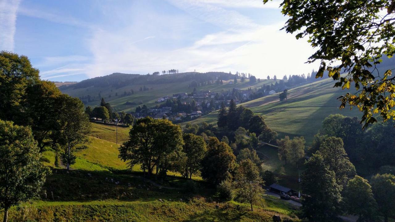 Residenz Schauinsland, Ganzes Appartement, Sauna Todtnau Luaran gambar